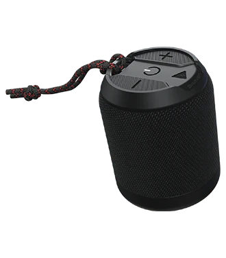 Portable Speaker